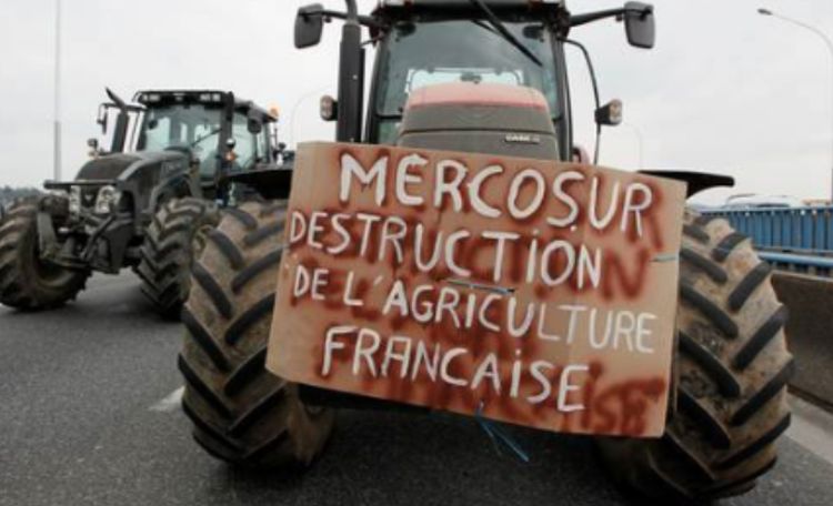 Acuerdo Mercosur-UE: desacuerdo con el medioambiente - Periódico Virginia Bolten